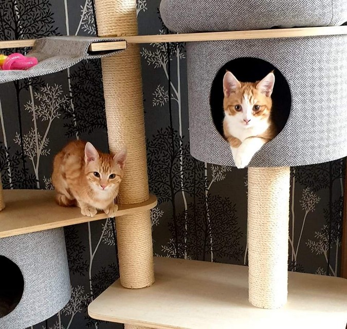 Nappie en Nacho het onafscheidelijke duo….