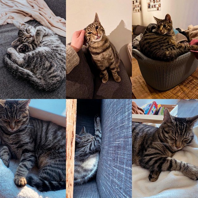 Yuki’s gouden mandje…